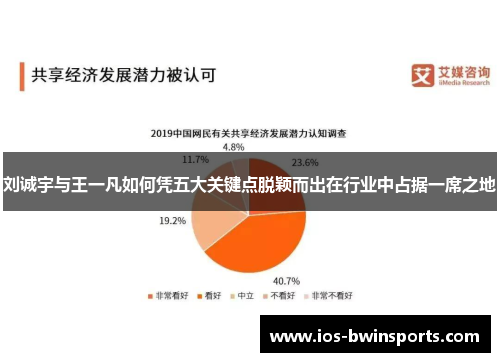 刘诚宇与王一凡如何凭五大关键点脱颖而出在行业中占据一席之地