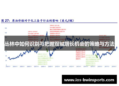丛林中如何识别与把握双城增长机会的策略与方法