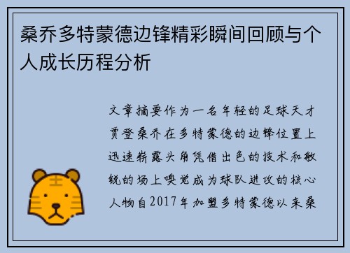桑乔多特蒙德边锋精彩瞬间回顾与个人成长历程分析