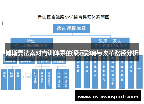 博斯曼法案对青训体系的深远影响与改革路径分析